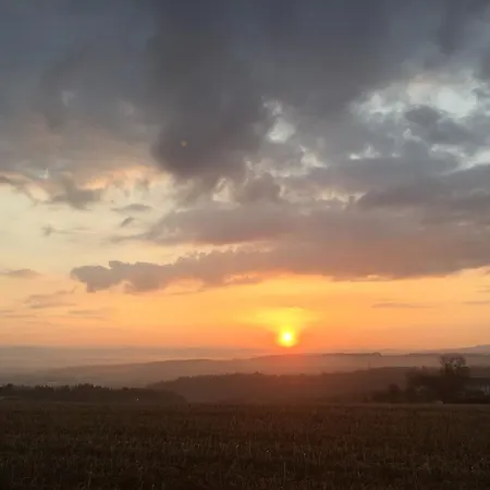 Zur Goldenen Sonne 帕绍